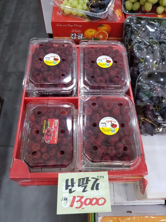 총각네수지 이미지