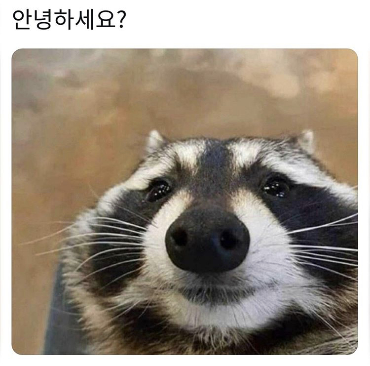 천사곱창 이미지