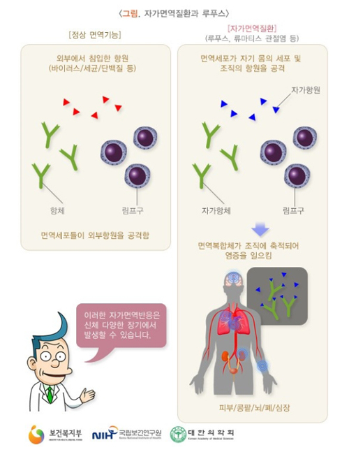 시흥간병인 이미지