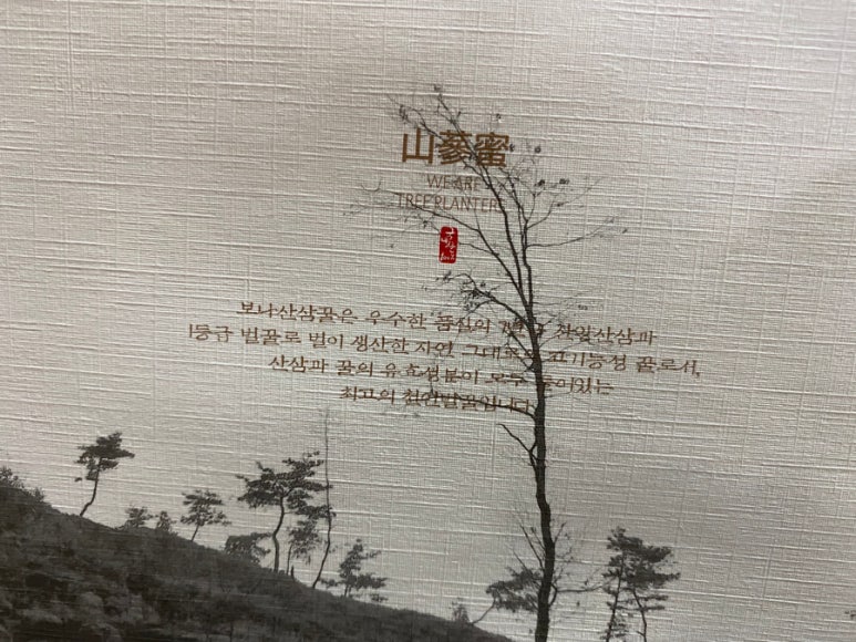 보나트리 이미지