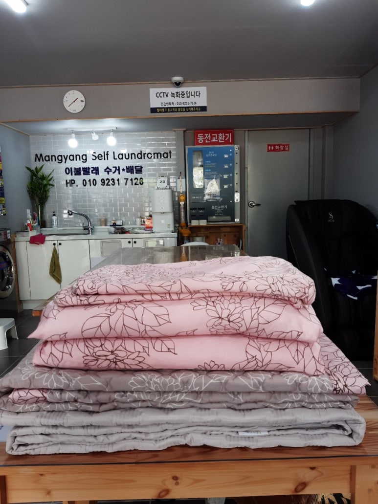 일동세탁 이미지