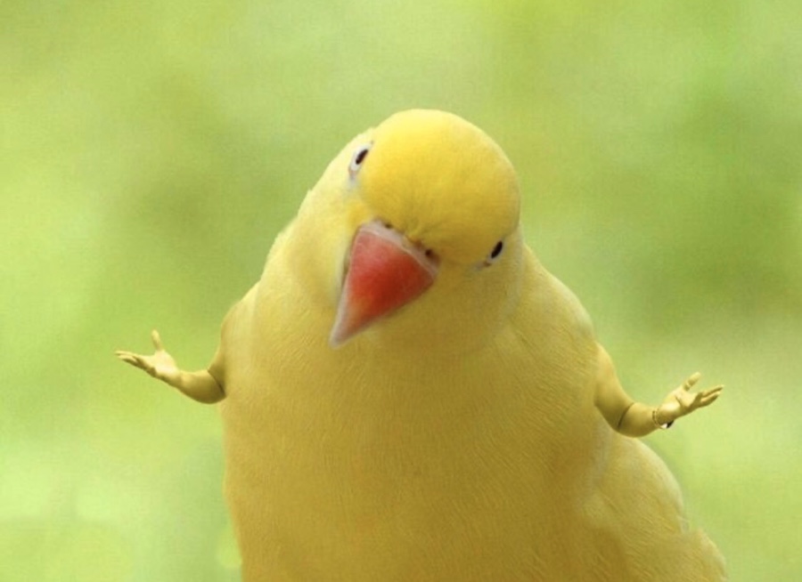 떡공방 이미지