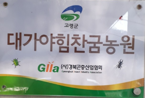 더센식품 이미지
