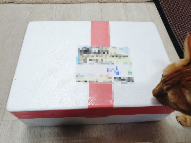 설악산어부 이미지