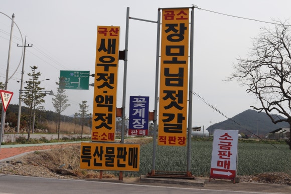 곰소장모님젓갈 이미지