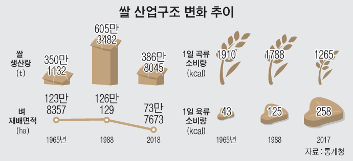 본구조 이미지