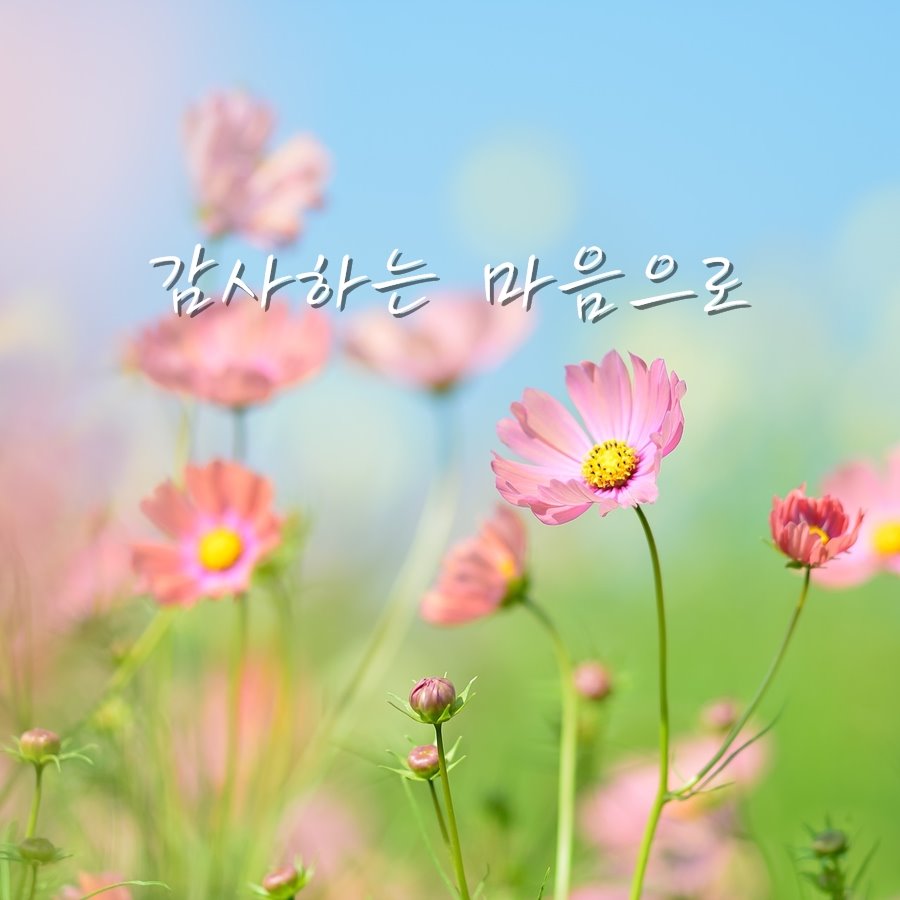 참좋은인력 이미지