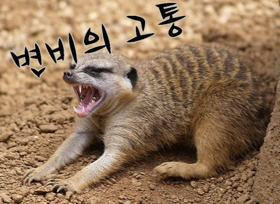 블랙스짐 이미지