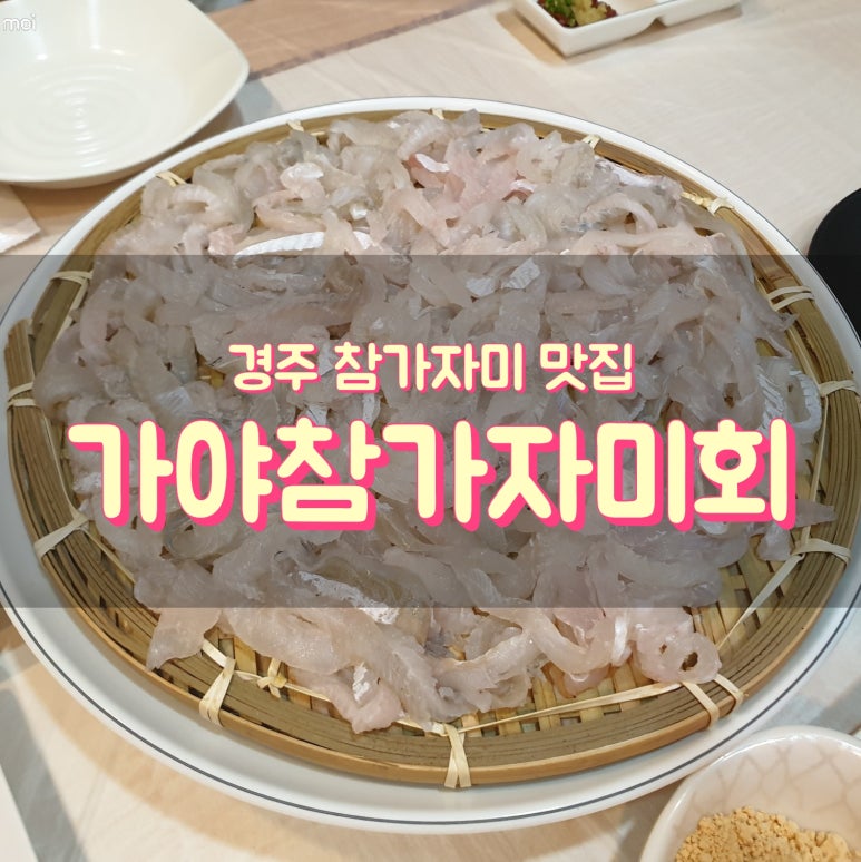 가야참가자미회 이미지