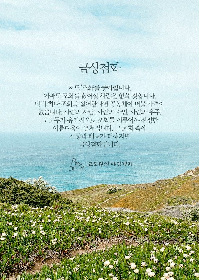 금상첨화 이미지