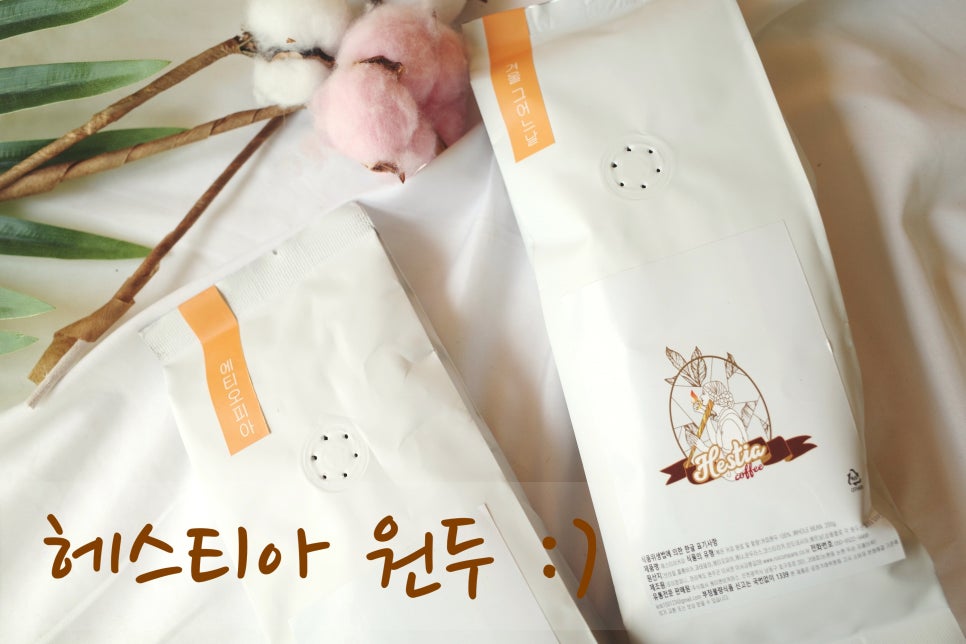 코디웜플 이미지
