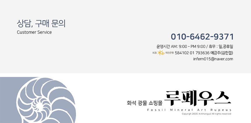 피스쿠스 이미지