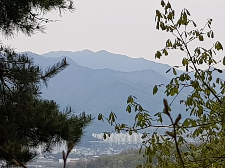 치악산한의원 이미지