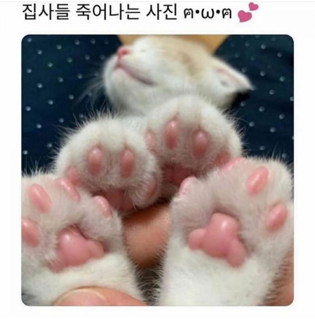 테이크케이크 이미지