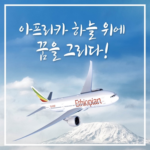 드래곤플라이투어주 이미지