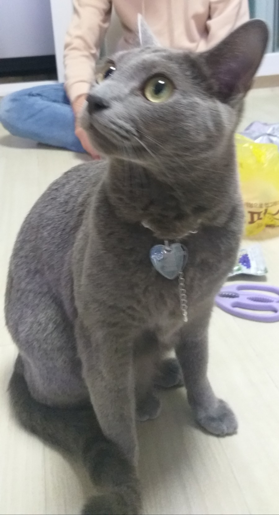 손칼국수보리밥한정식 이미지