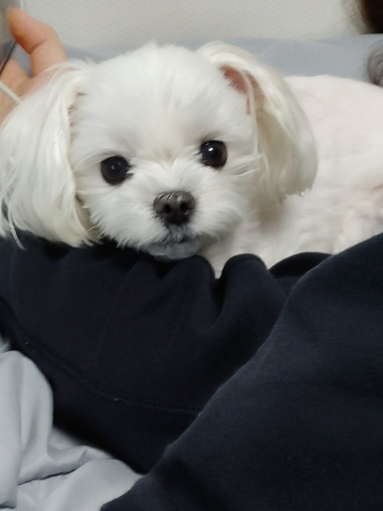 밀찻집 이미지
