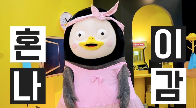 배양리오리집 이미지