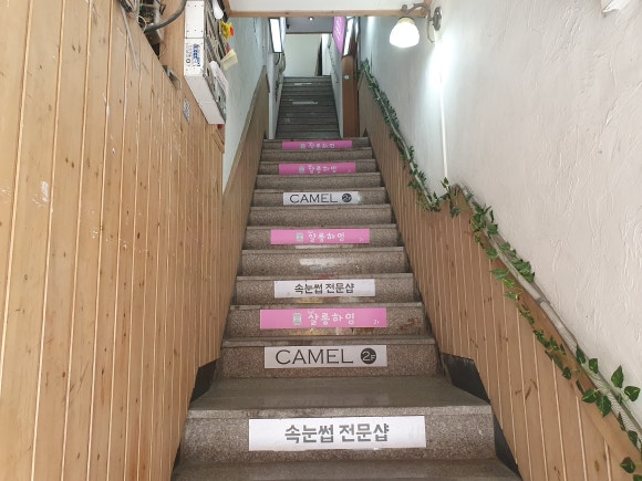 크로커다일뉴코아아울렛 이미지