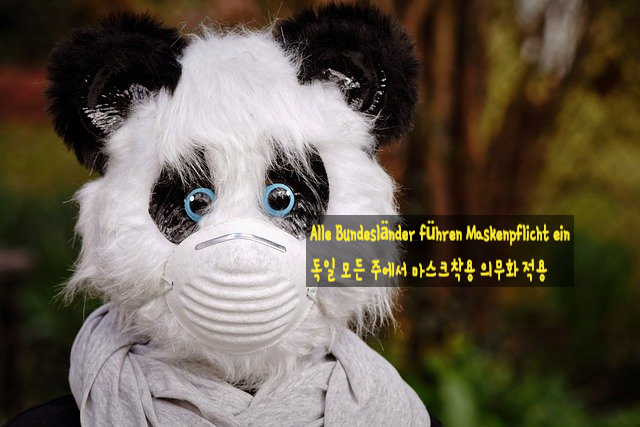 (주)다름 이미지