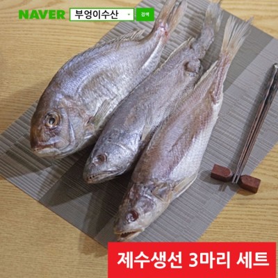 부엉이수산 이미지