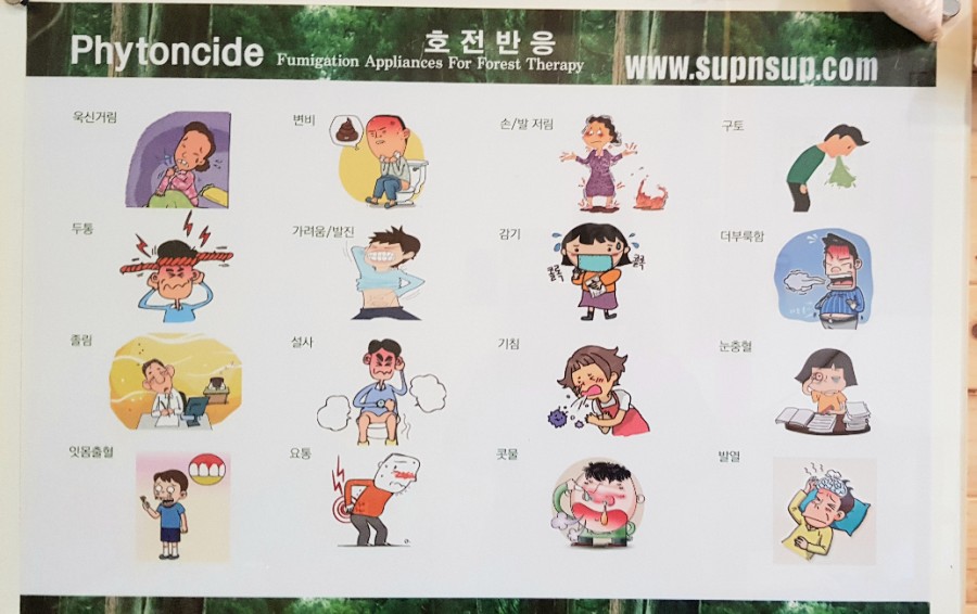숲엔숲 이미지