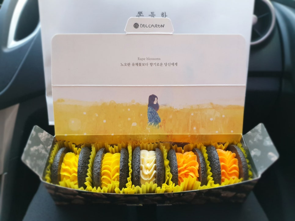 스타렌트카 이미지