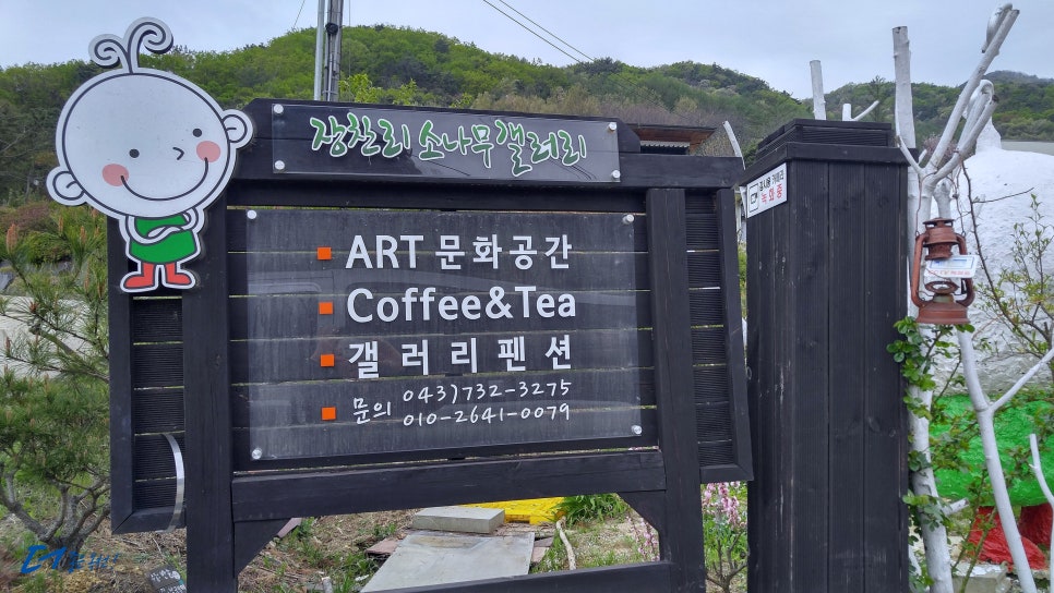 장찬리소나무갤러리 이미지