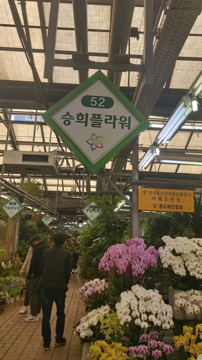 승희플라워 이미지