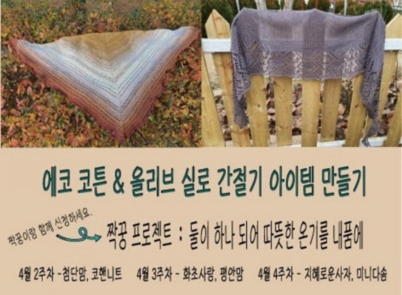 올리브코튼 이미지
