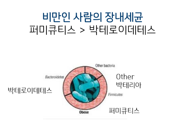 시.에프 이미지