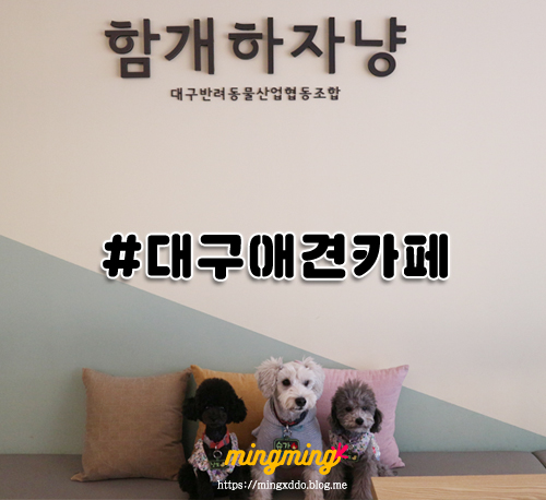함개하자냥 이미지