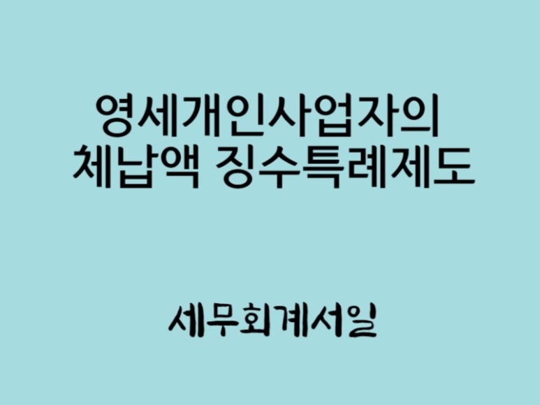 세무회계서일 이미지