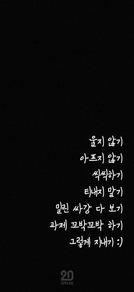 보니스 이미지