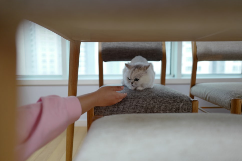 터치클린 이미지