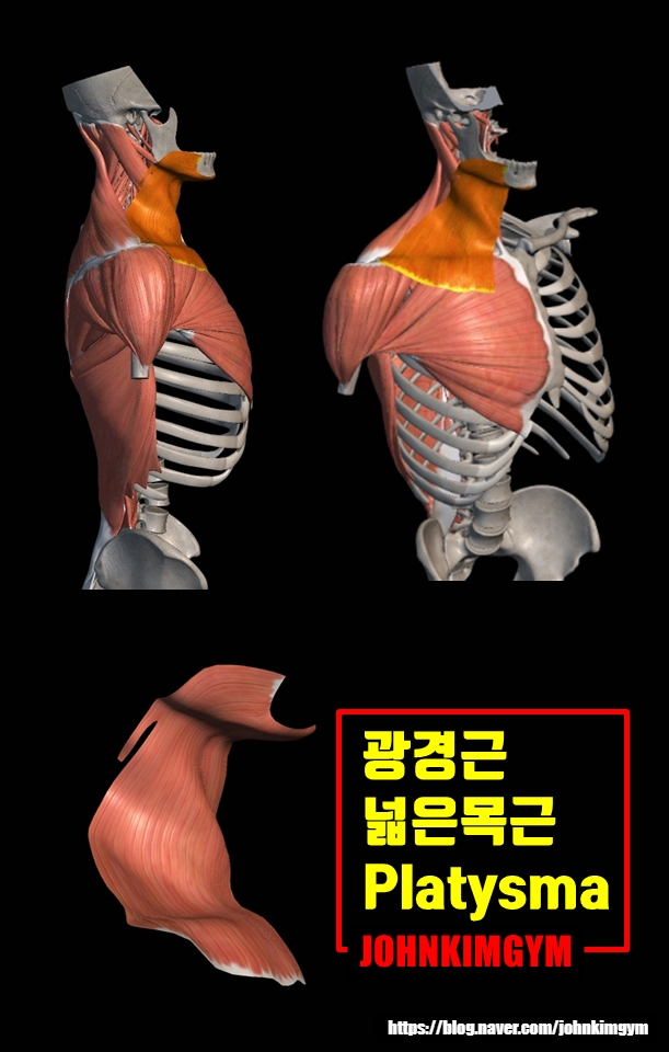 존킴짐 이미지
