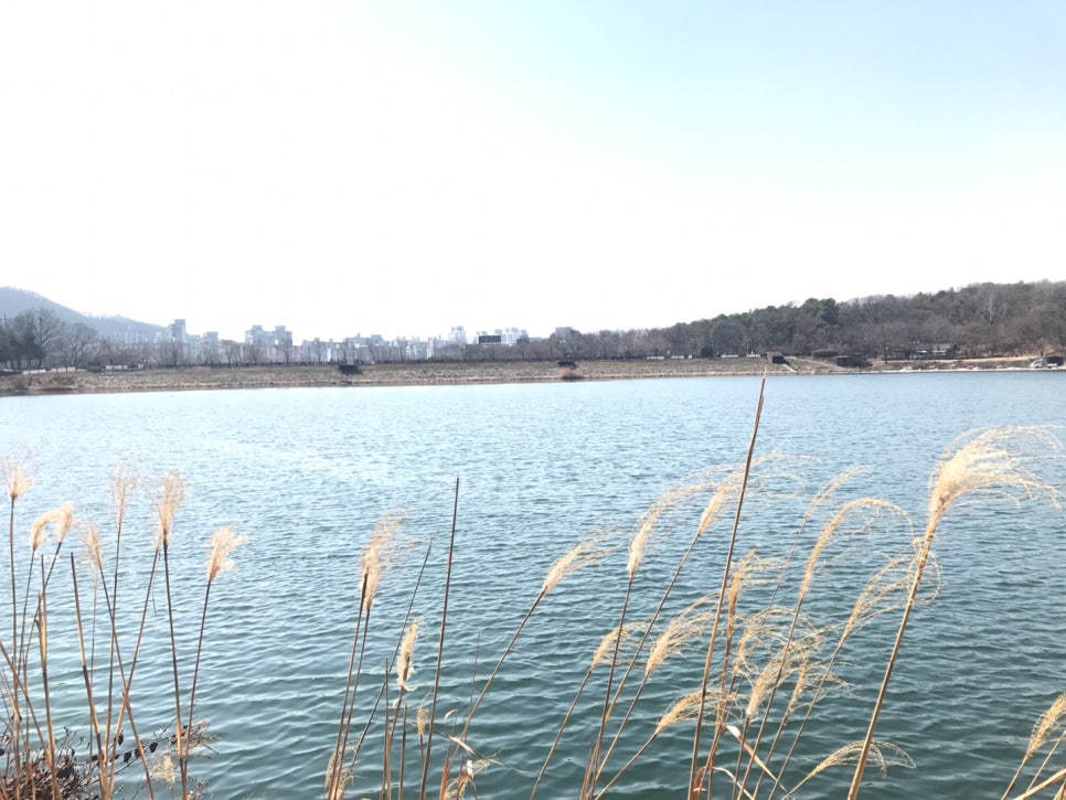 카페 엘(CAFE L) 이미지