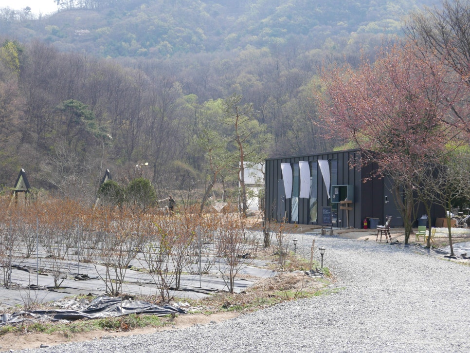 모안10 이미지