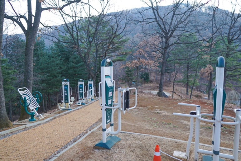 심항산 유아숲체험원 이미지