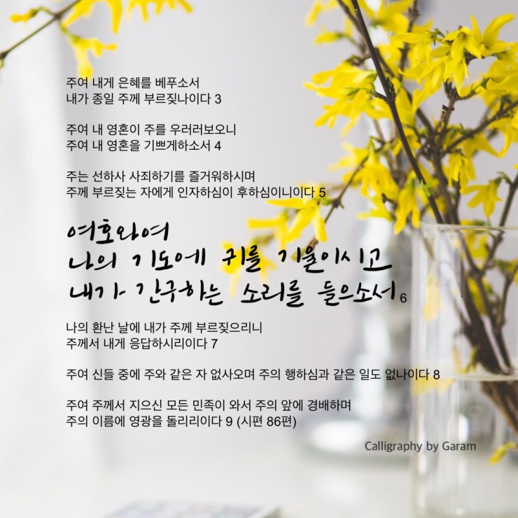 (주)가람 이미지