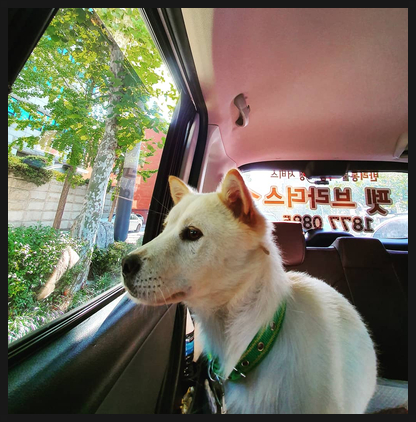 자양사거리가로매점 이미지