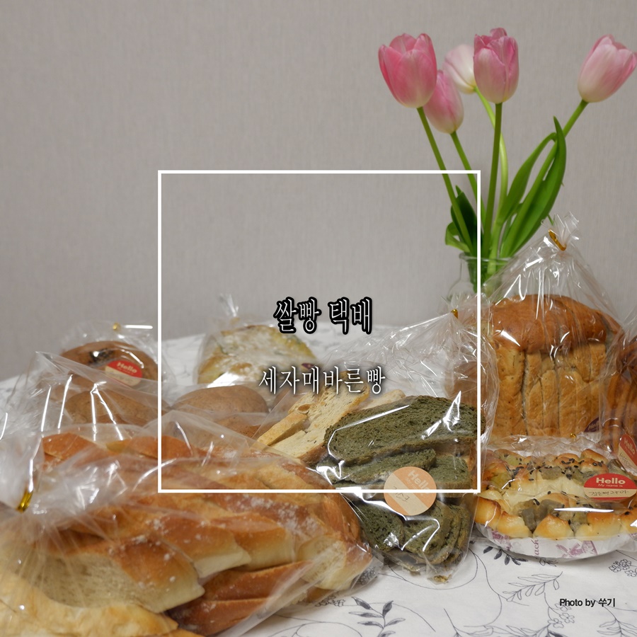 세자매바른빵 이미지