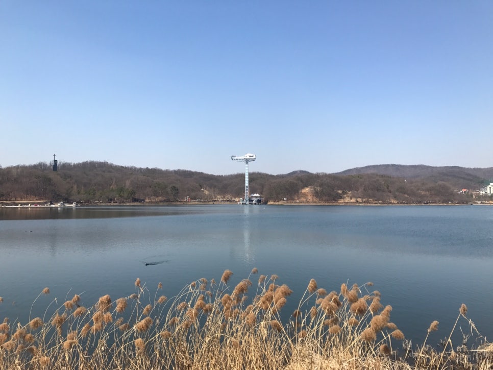 카페 엘(CAFE L) 이미지