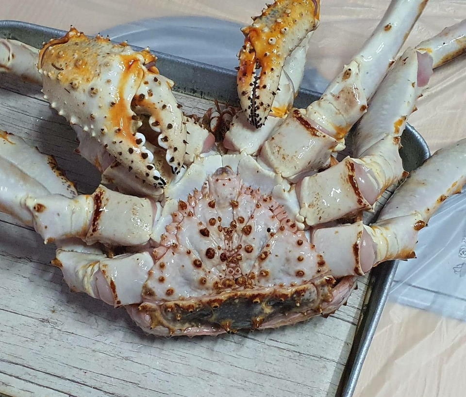 (주)가나위생 이미지