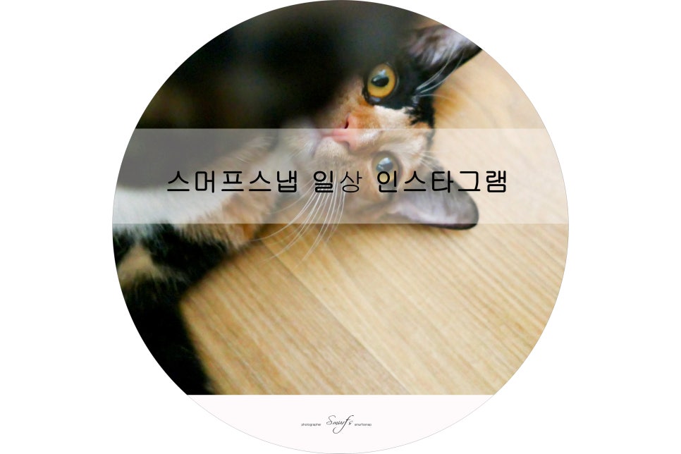 워시존부산 이미지
