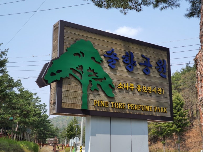 보은바이크 이미지