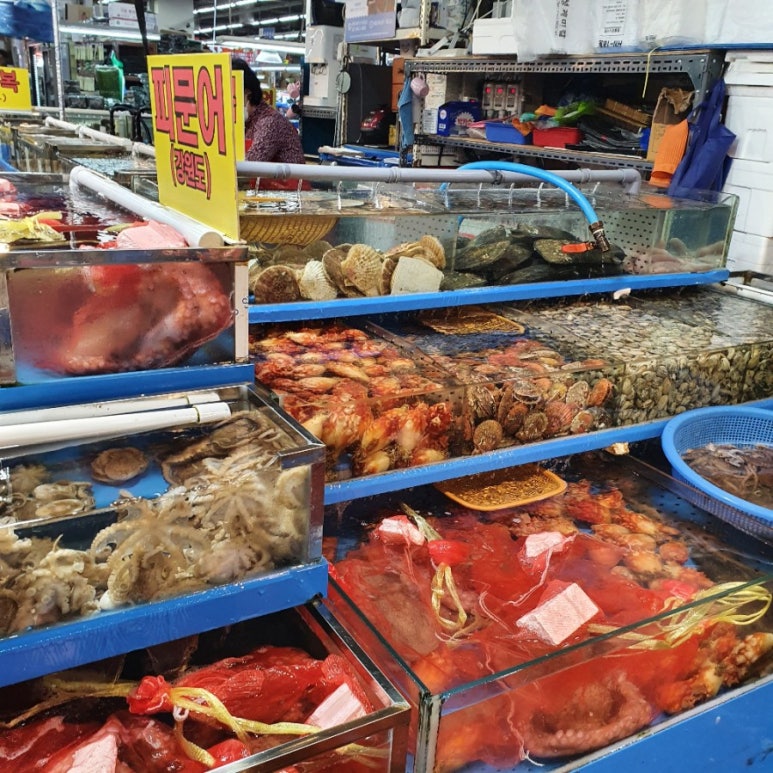찬영수산 이미지
