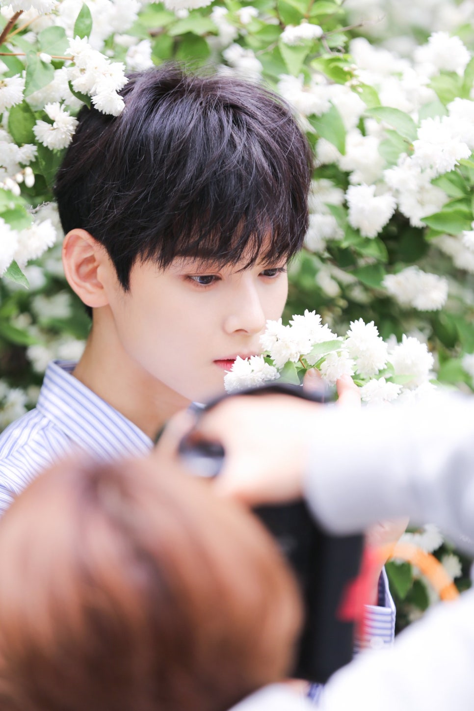 베이시스 옵(basis of) 이미지