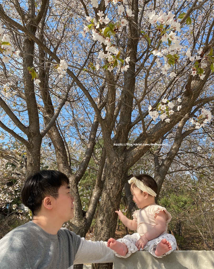 투로맨틱버즈 이미지
