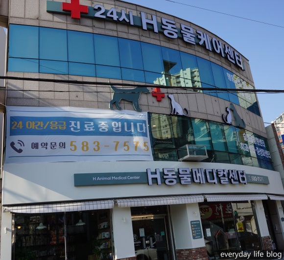에이치메디컬 이미지